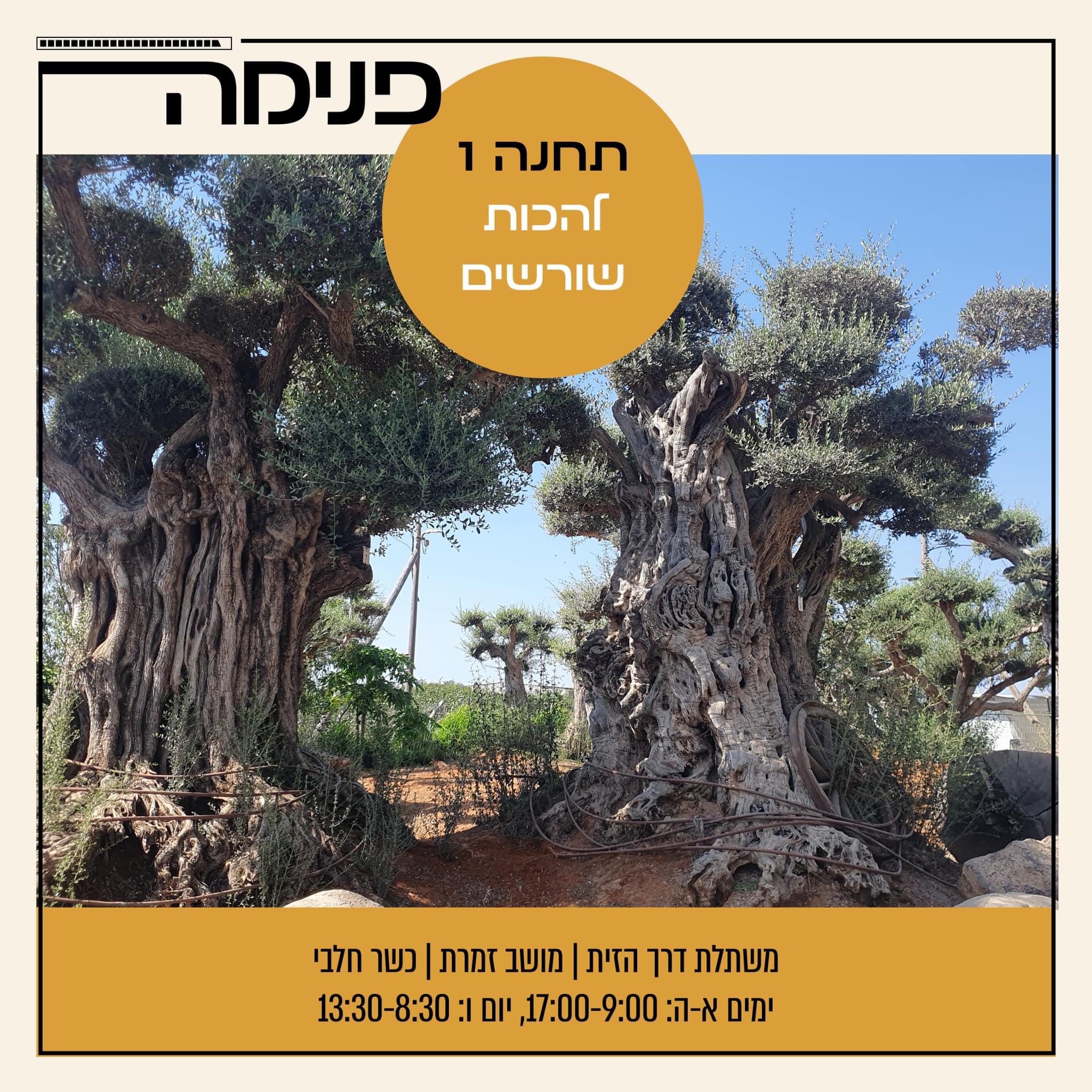 ‎מגזין פנימה לנשים‎ added a new photo. - מגזין פנימה לנשים