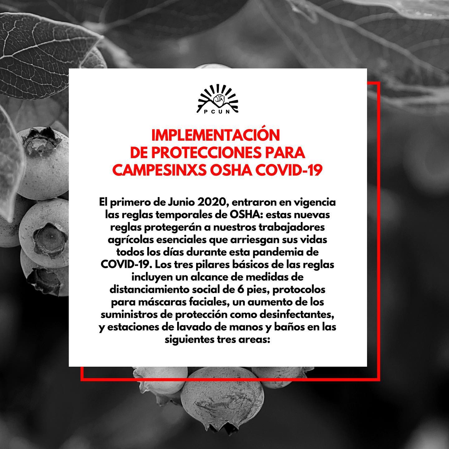 PCUN - ATENCIÓN CAMPESINXS: Este mes entraron en vigencia... | Facebook