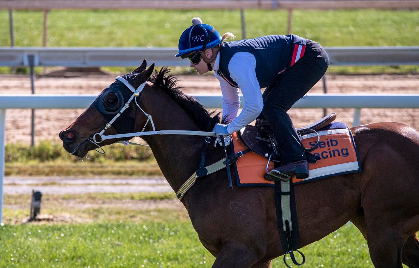 Seib Racing - 🔸Full Of Fire 🔸Race 3 🔸 1000m 🔸 2:25pm Full... | Facebook