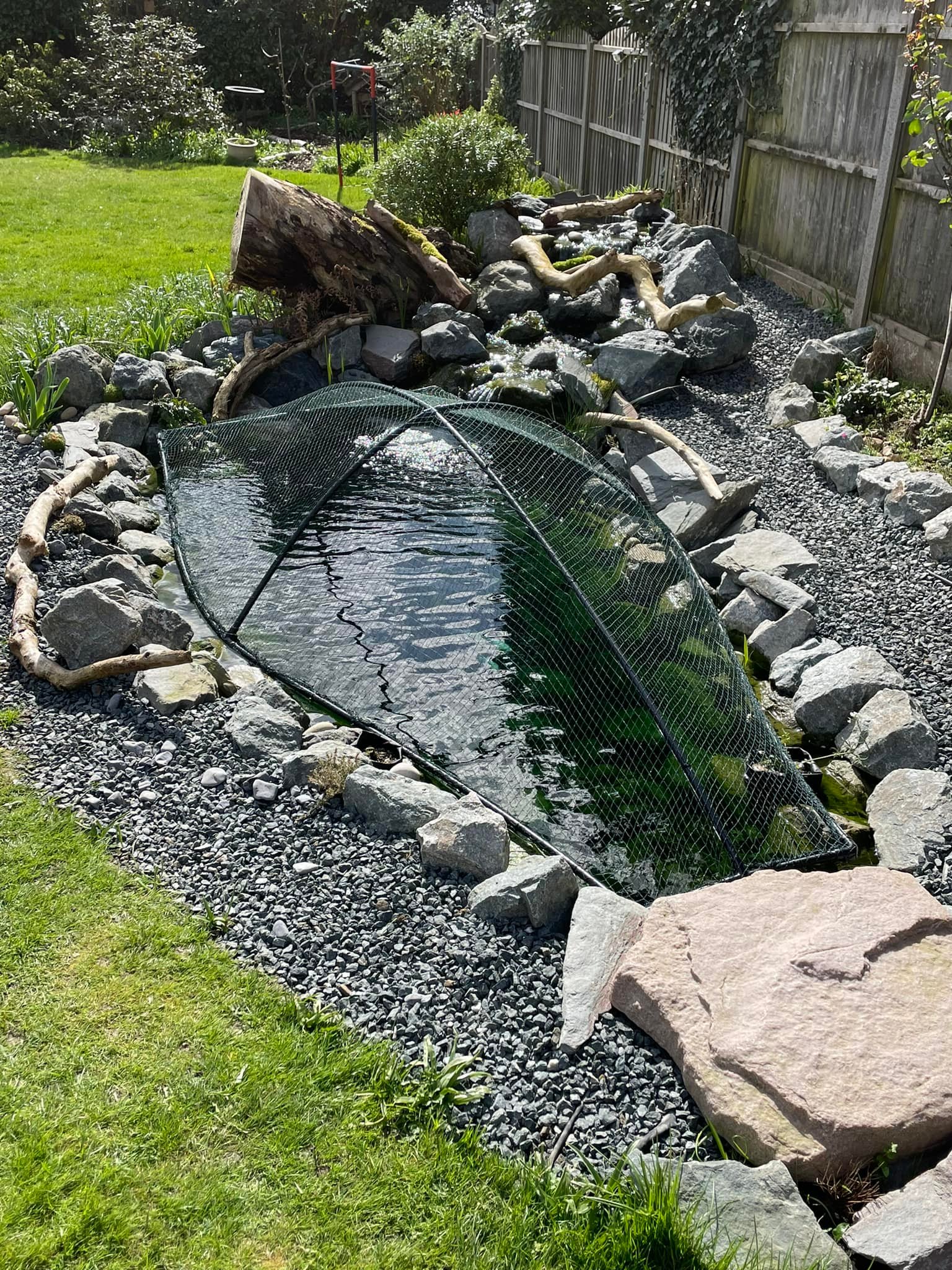 amazon dip nets for removing leaves from fish ponds Best Sellers: Best Pond Netting cutting your maintenance time in half Aquascape - Pond Skimmer Net