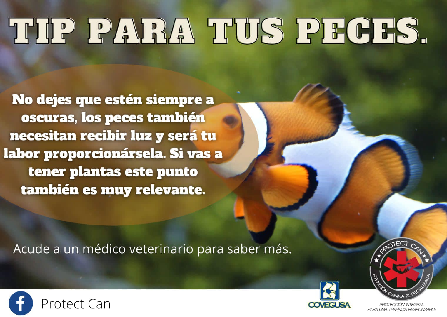Protect Can - 🐠 | Facebook