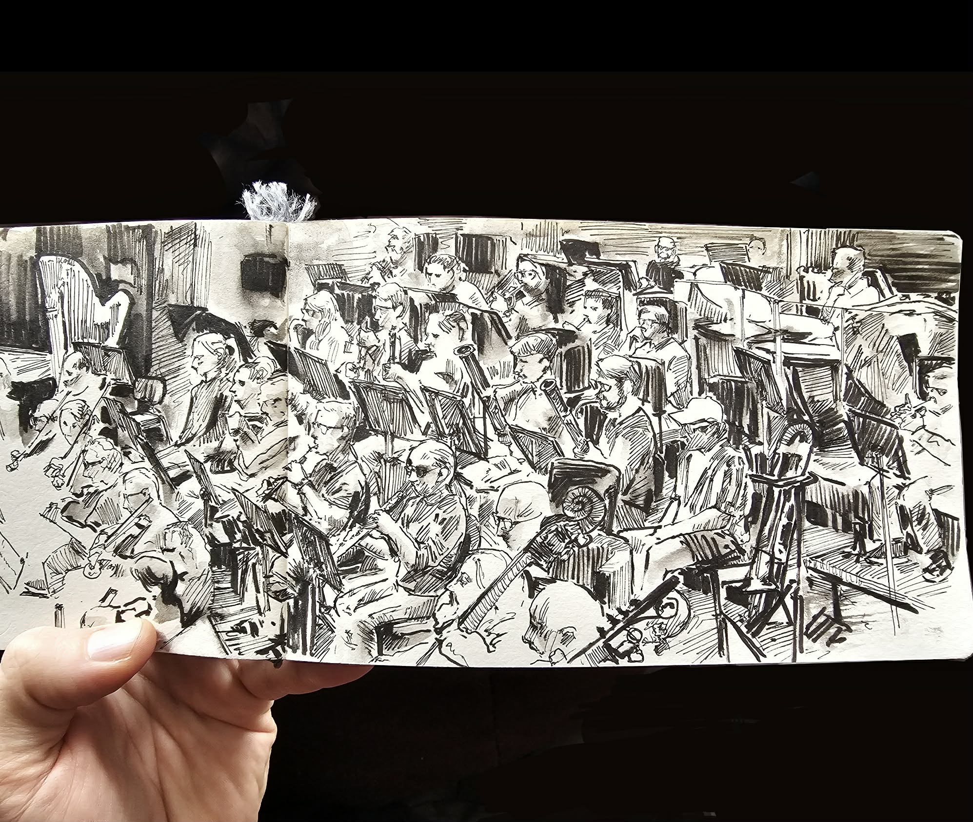 Some of the stunning sketches from Urban Sketchers Wellington's