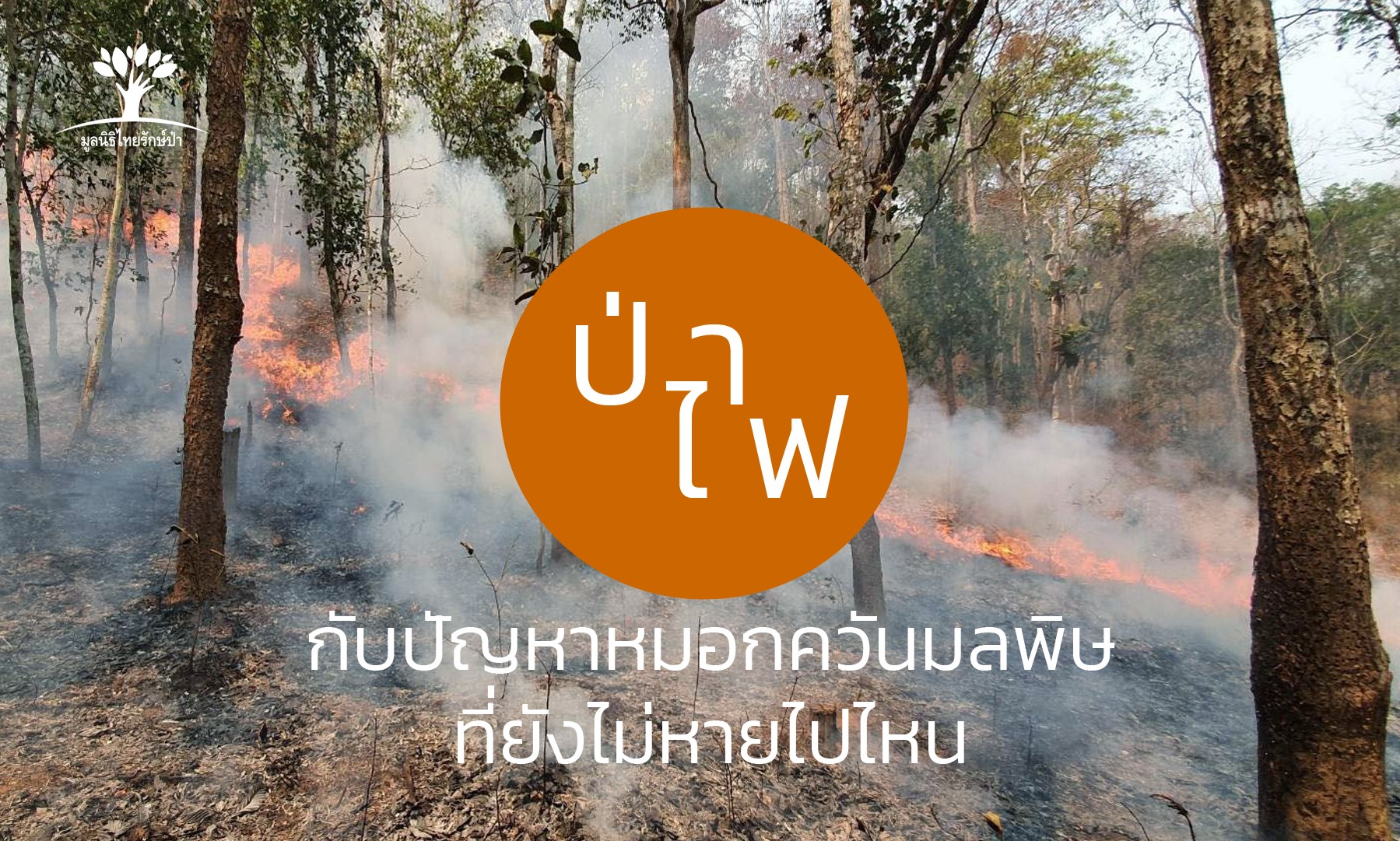 ' ป่ า ไ ฟ '... - มูลนิธิไทยรักษ์ป่า