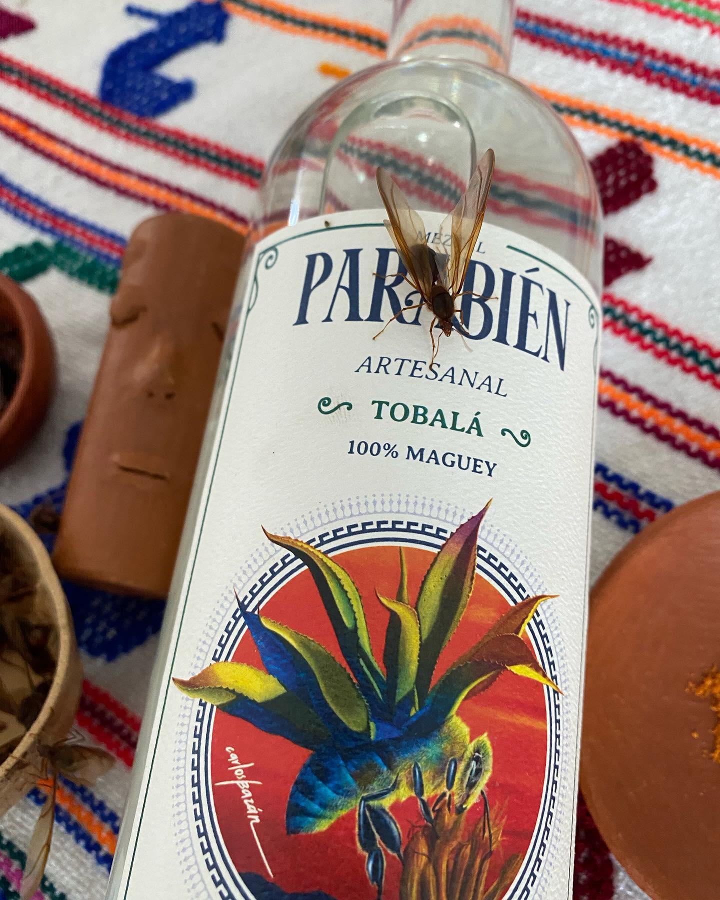 ¿Ya mandaron a los niños a levantar... - Mezcal 
