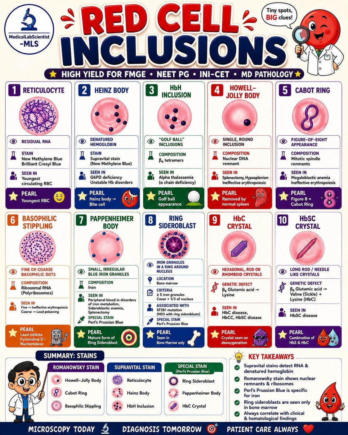 access medical labs rbc glutathione Red Cell Inclusions Explained. A Complete Morphology Guide Red cell inclusions are important findings on a peripheral blood smear and help identify disorders such as G6PD deficiency, thalassemia, lead poisoning, sideroblastic Skin Care Benefits:Vitamin C + NAD+ toner before serum Shingles Risk Slashed in