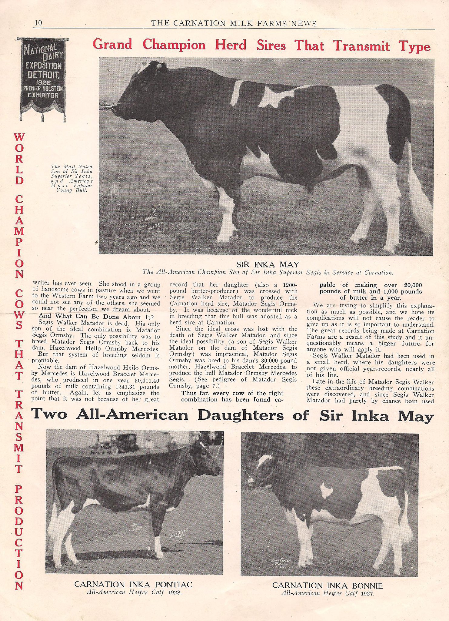 Legendairy - WWS Boots Apollo EX-91 b. 12/25/1976 was sired by Hilltop ...