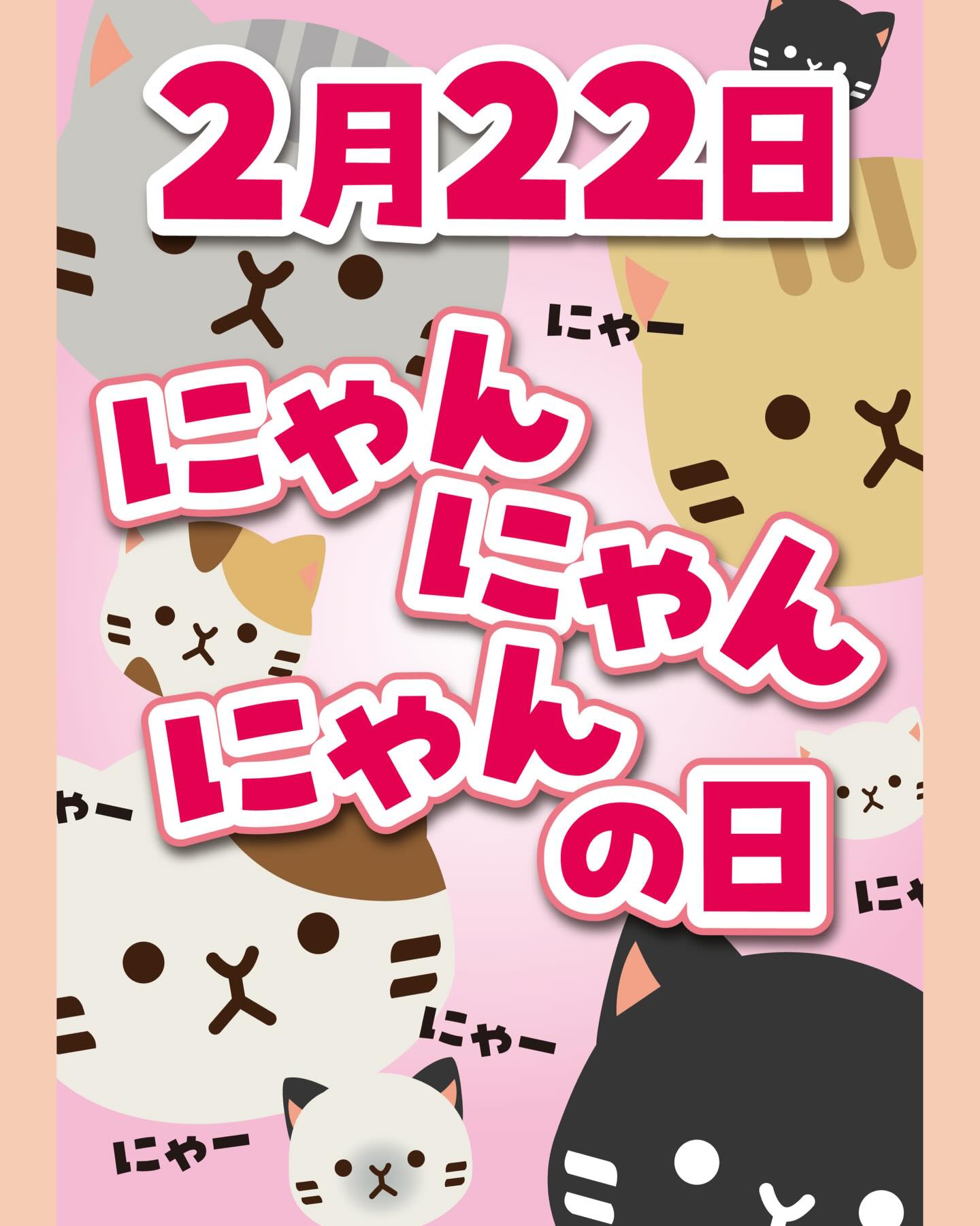🐾 明日16:30〜放送！猫好きさん、リッチ土佐店へ急げ！？ 🐾 もうすぐ