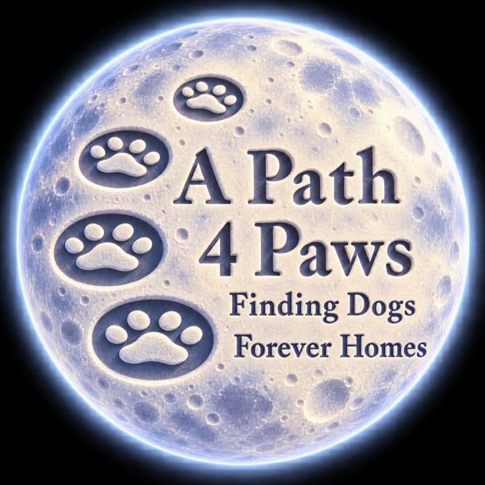 Come see us today. | A Path 4 Paws