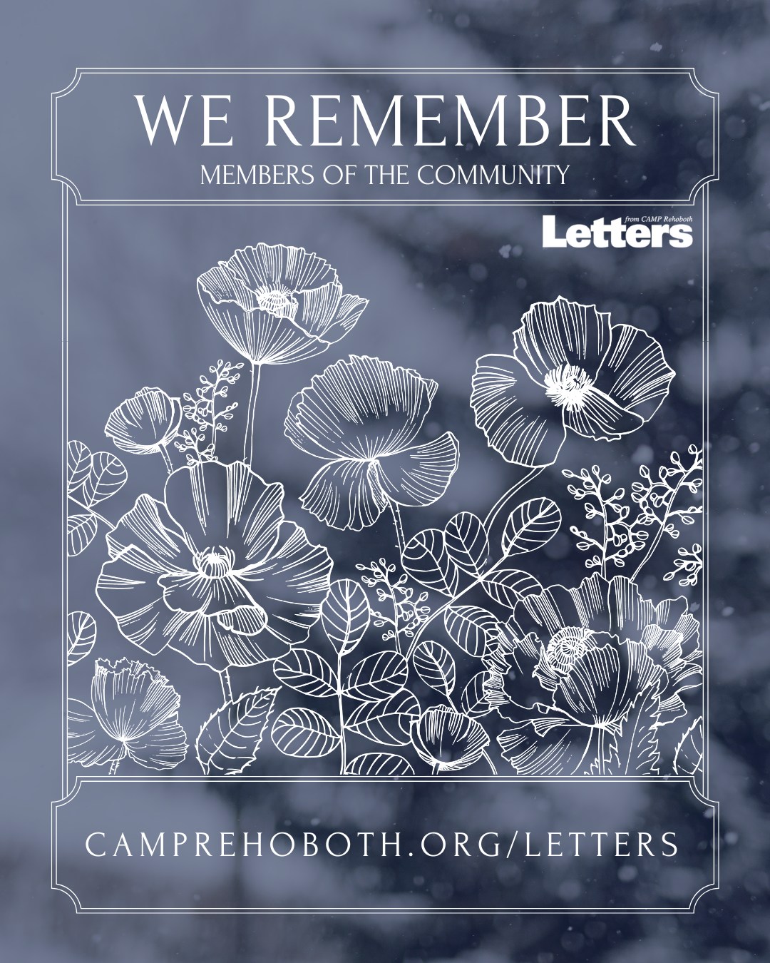 In this issue of Letters,... - CAMP Rehoboth Community Center | Facebook