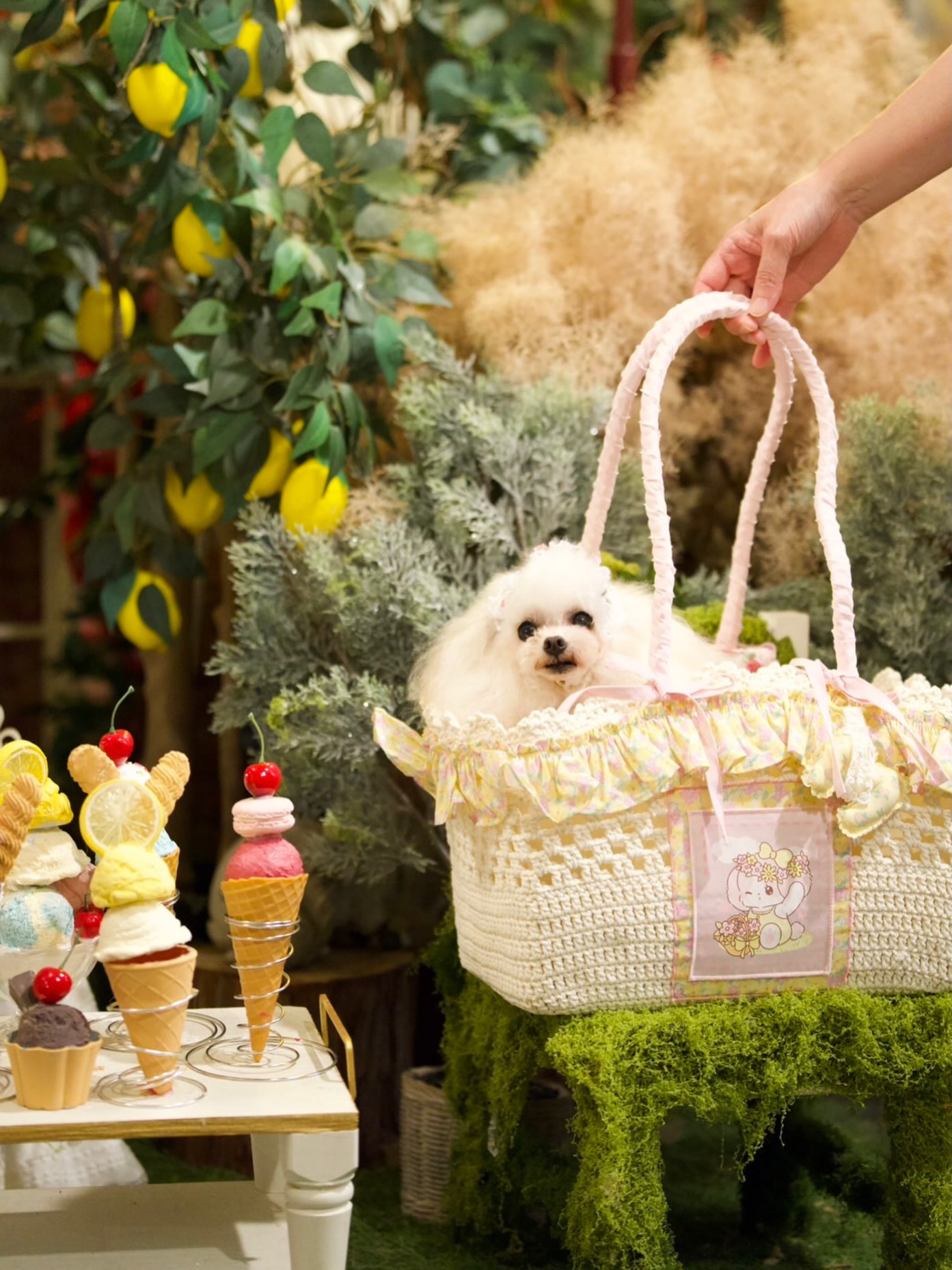 PuppilyHills | Osaka Osaka