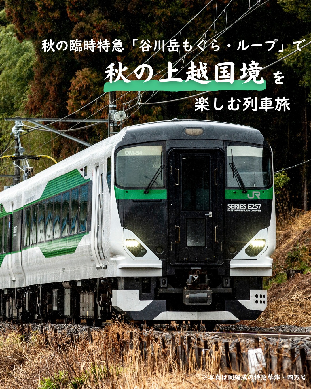 JR東日本 - 『2つの駅の忠犬ハチ公』 渋谷駅の改札口の名称にもなって