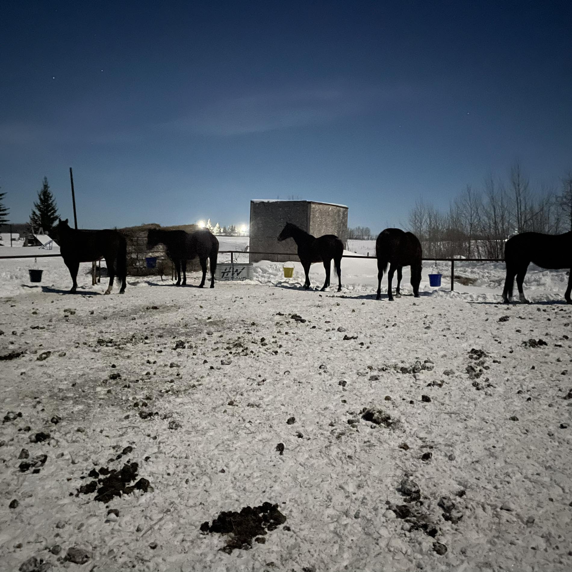 R&R Stables