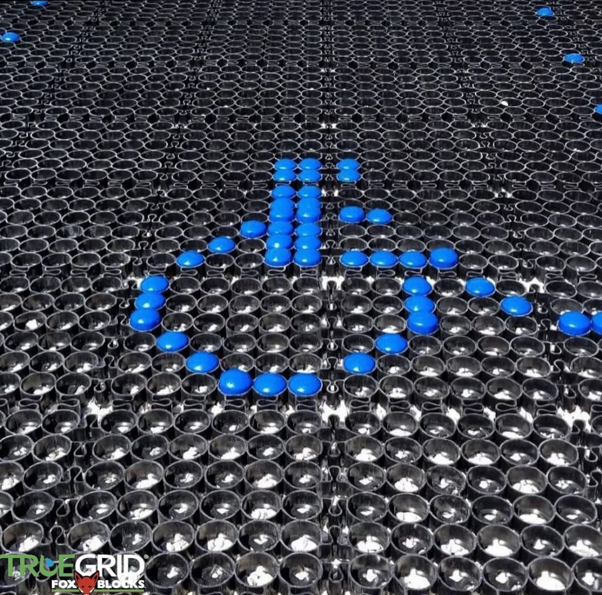 Truegrid Pavers