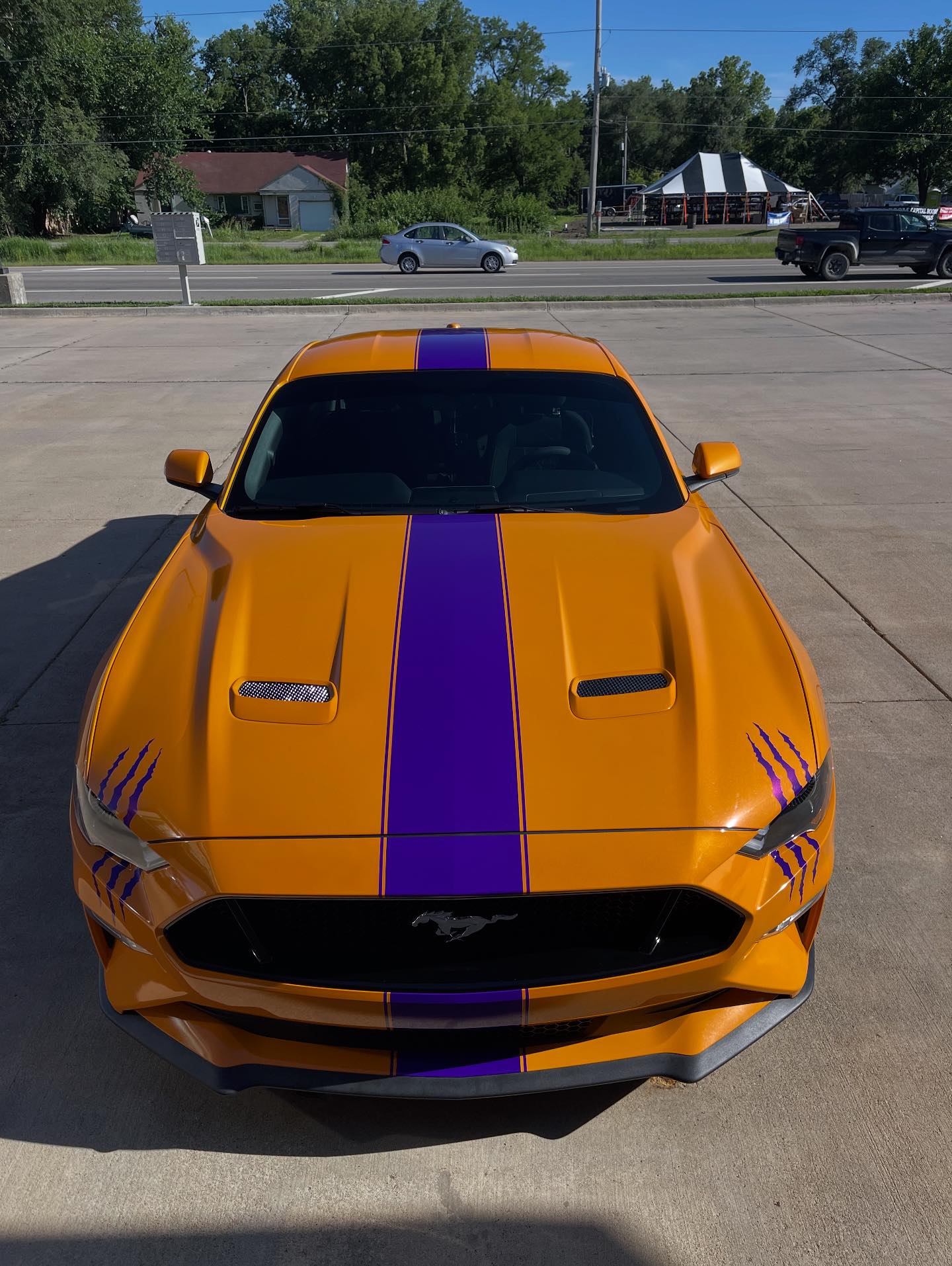 These Gloss Plum Explosion... - Katalyst Sign & Grafix, LLC | Facebook