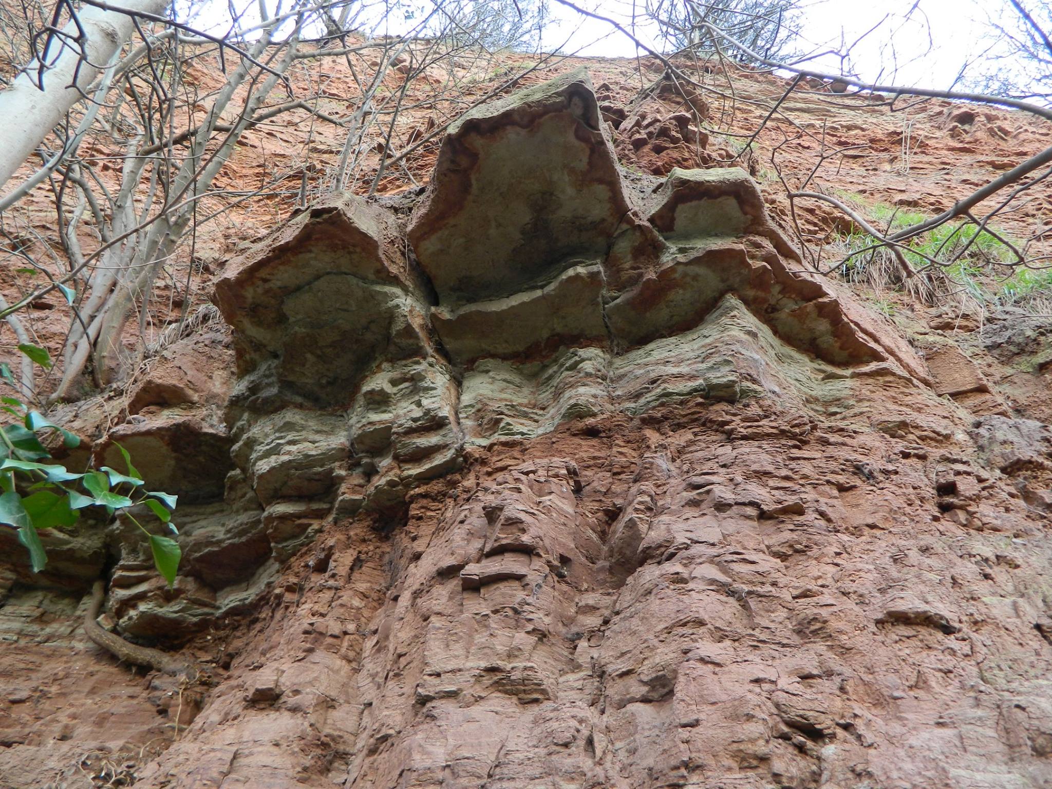 As most of you now... - Colwick Woods Conservation Group