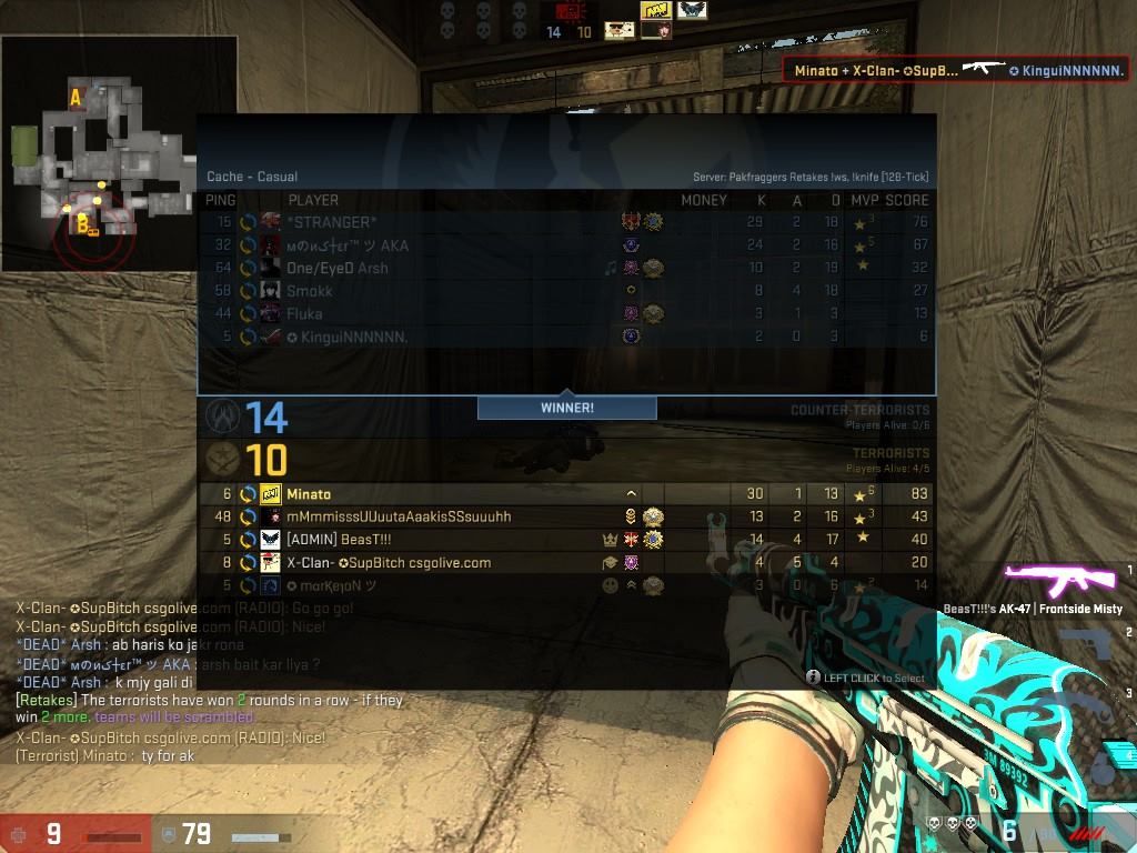 Team Insanity PK CSGO