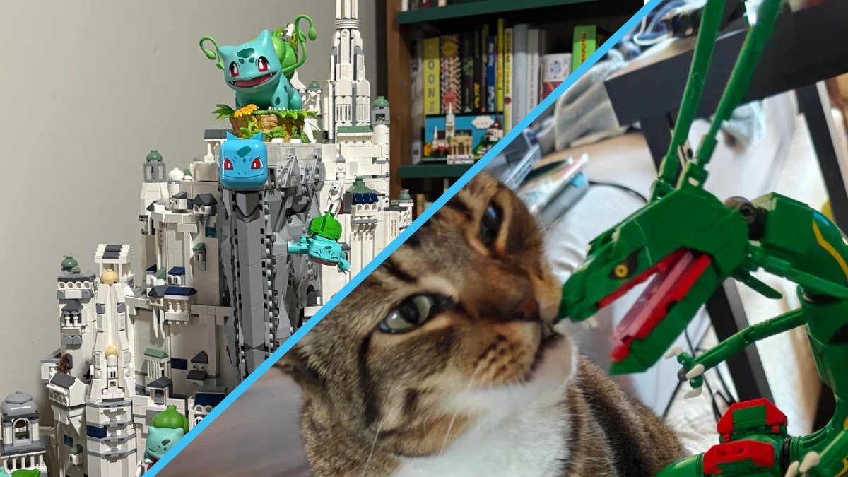 Brick - From a Rayquaza-looking cat to the glorious crossover that