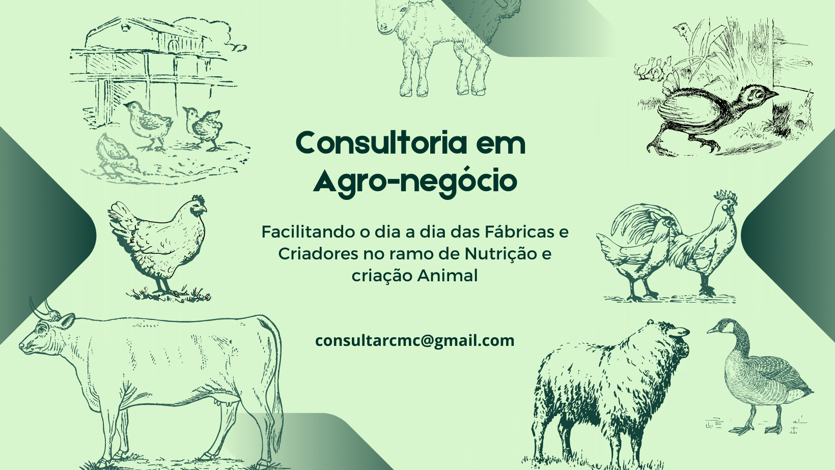 ⛑️ Curso Primeros Auxilios ⛑️... - Cecamu Consultores | Facebook