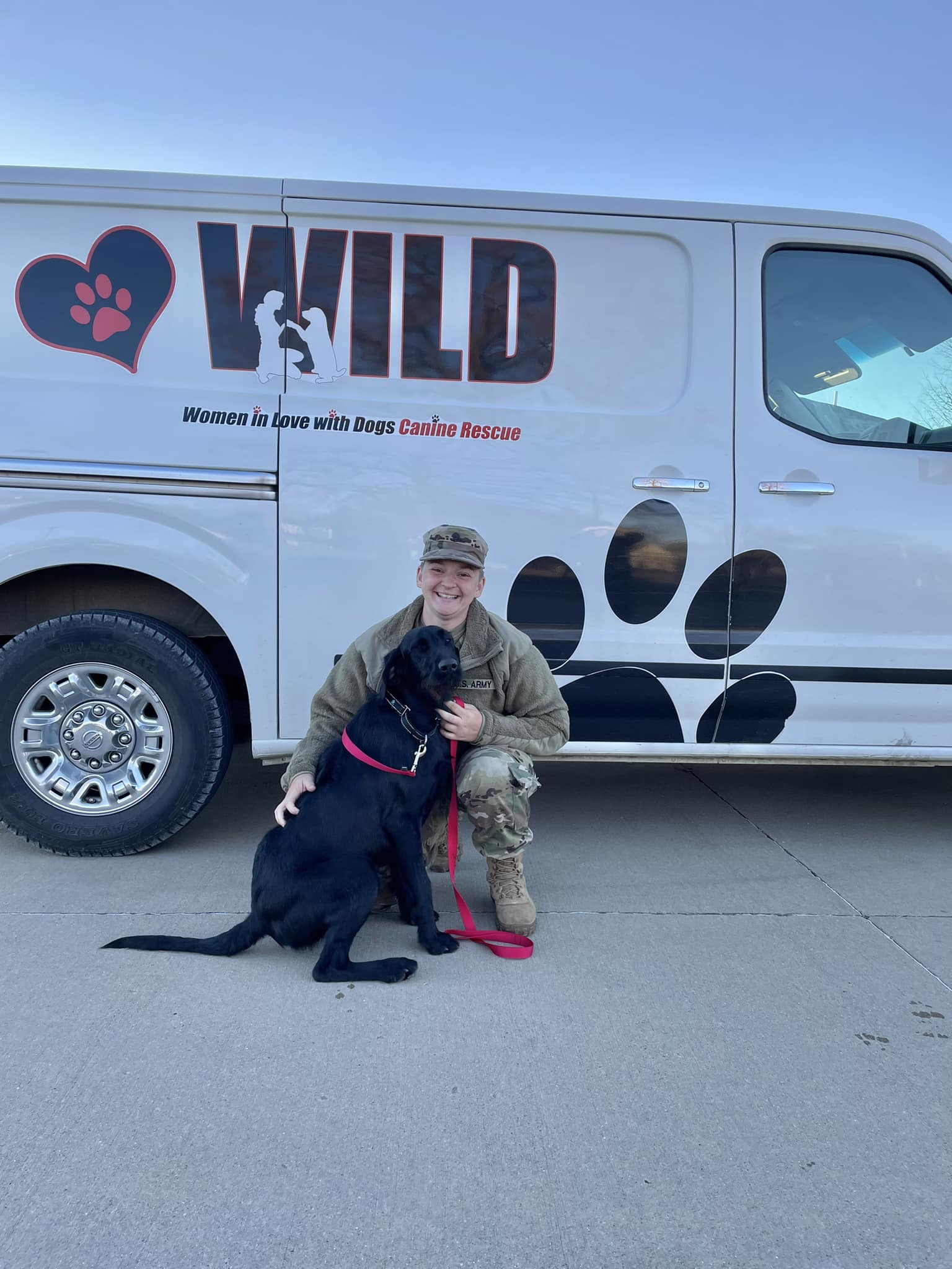 We are WILD about Sabrina’s placement... - WILD Canine Rescue