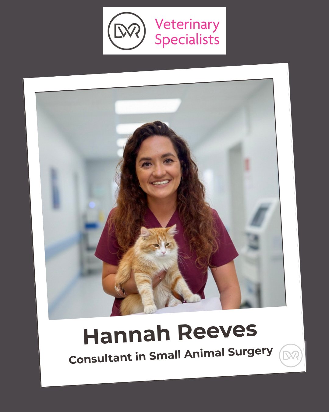 🌟 Team Spotlight: Meet Hannah... - DWR Veterinary Specialists | Facebook