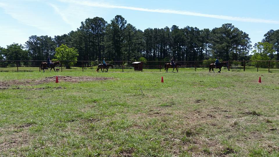 Nettlestone Ranch | Manor TX