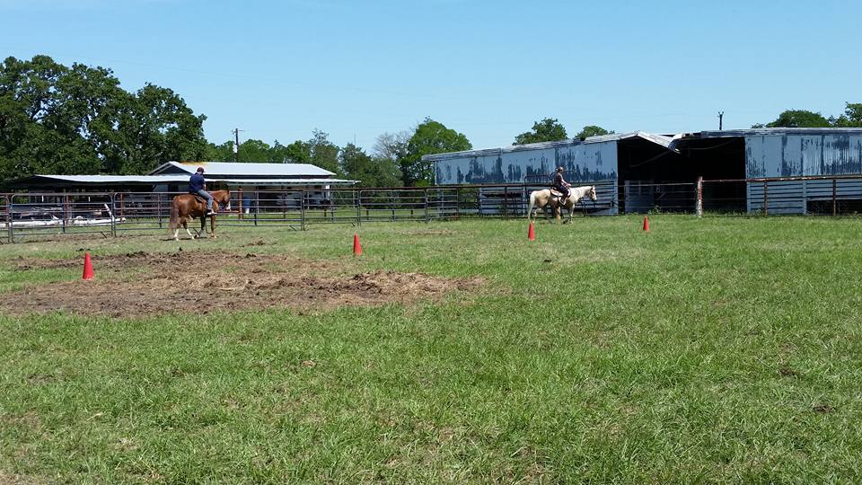 Nettlestone Ranch | Manor TX