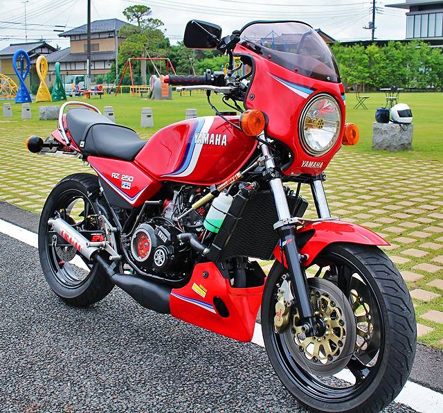 What do you guys make of this super cool JDM only Yamaha Maxam 250?