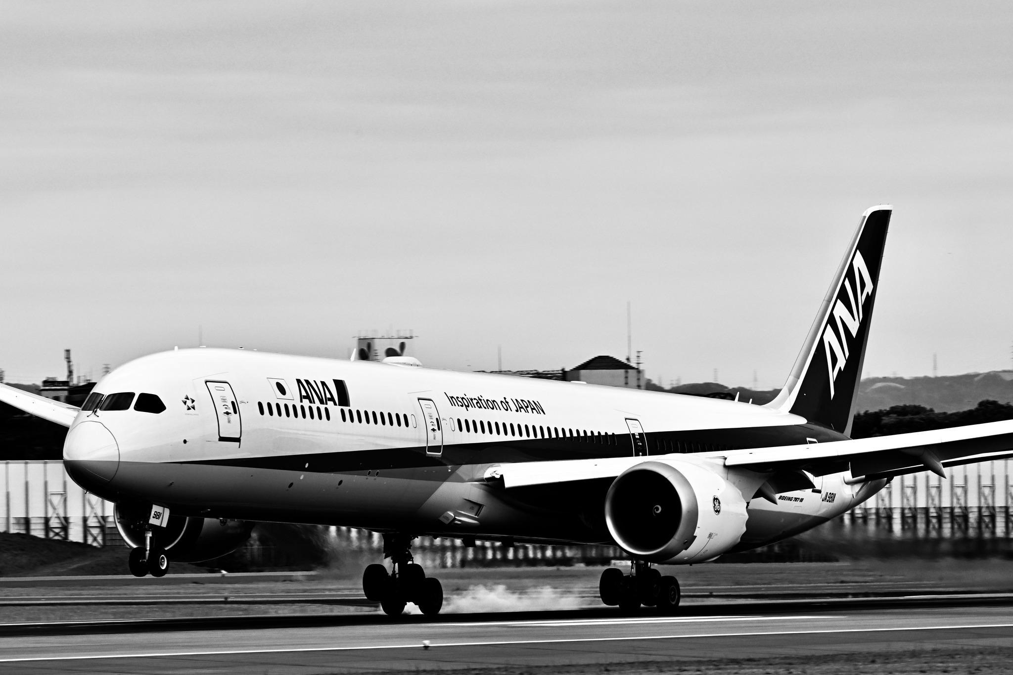 2024.8.16 OSAKA Itami Airport Japan Nikon Z6II NIKKOR Z 180-600 f5