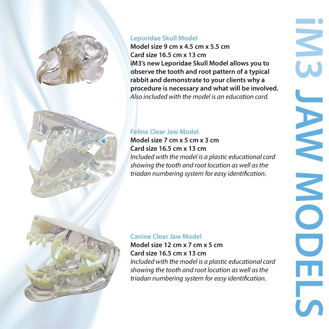 iM3 Australia - iM3 clear canine, feline and rabbit dental... | Facebook