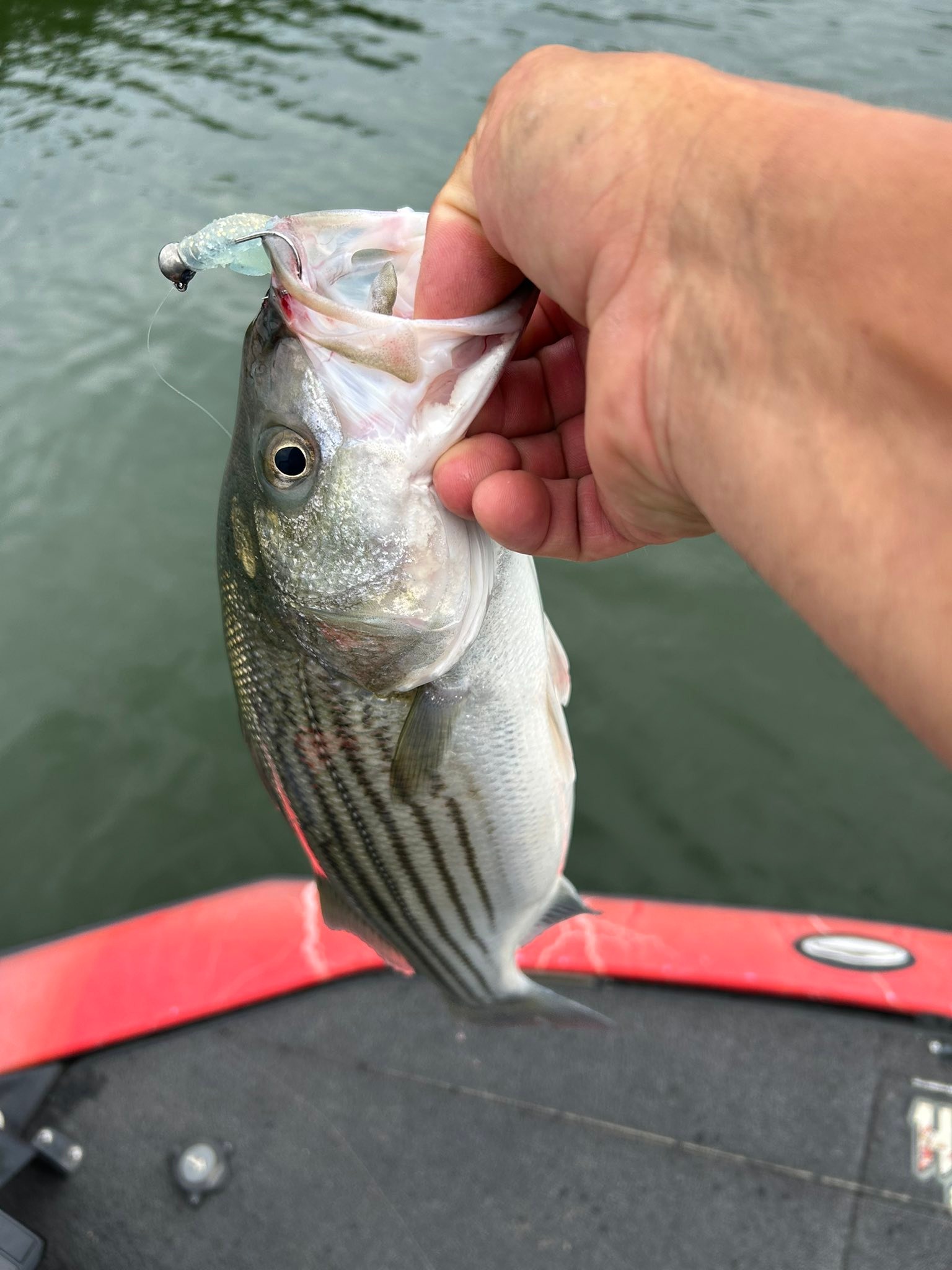 catch a fish with just lure Sierra Metal Design Fsihing Fishing is Like Dating, It is All and Release Until You Find Keeper Romantic Wedding, Anniversary, Bday, Valentine's Day, Christmas (Catch) : Sports Lure Fishing on the River