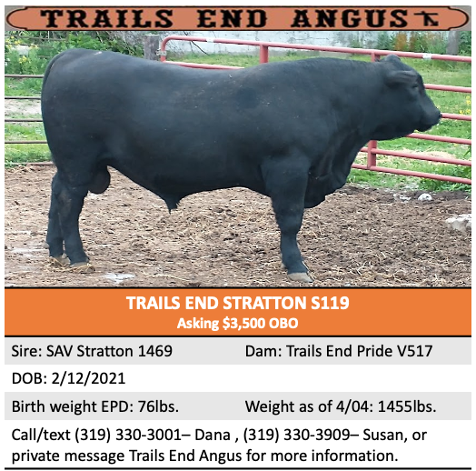 Trails End Angus | Riverside IA