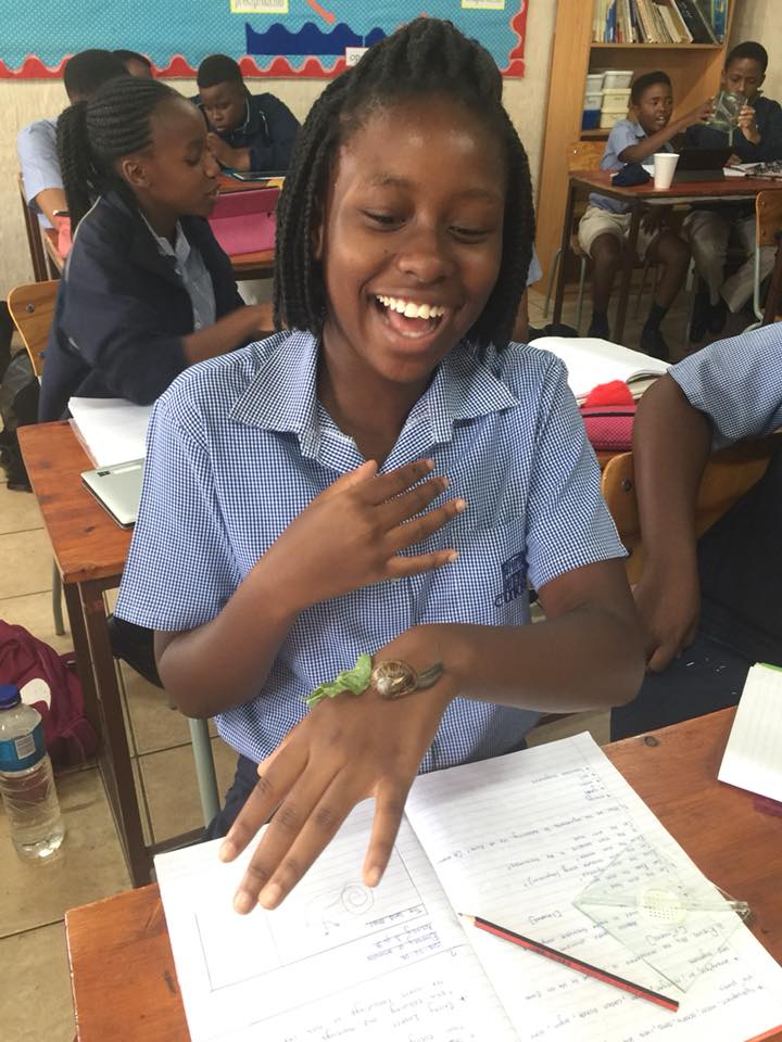 The grade 7 learners are studying some... - Curro Bankenveld