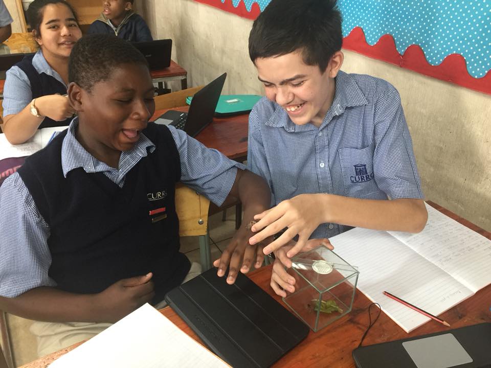 The grade 7 learners are studying some... - Curro Bankenveld