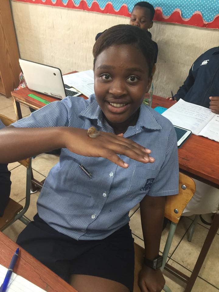 The grade 7 learners are studying some... - Curro Bankenveld