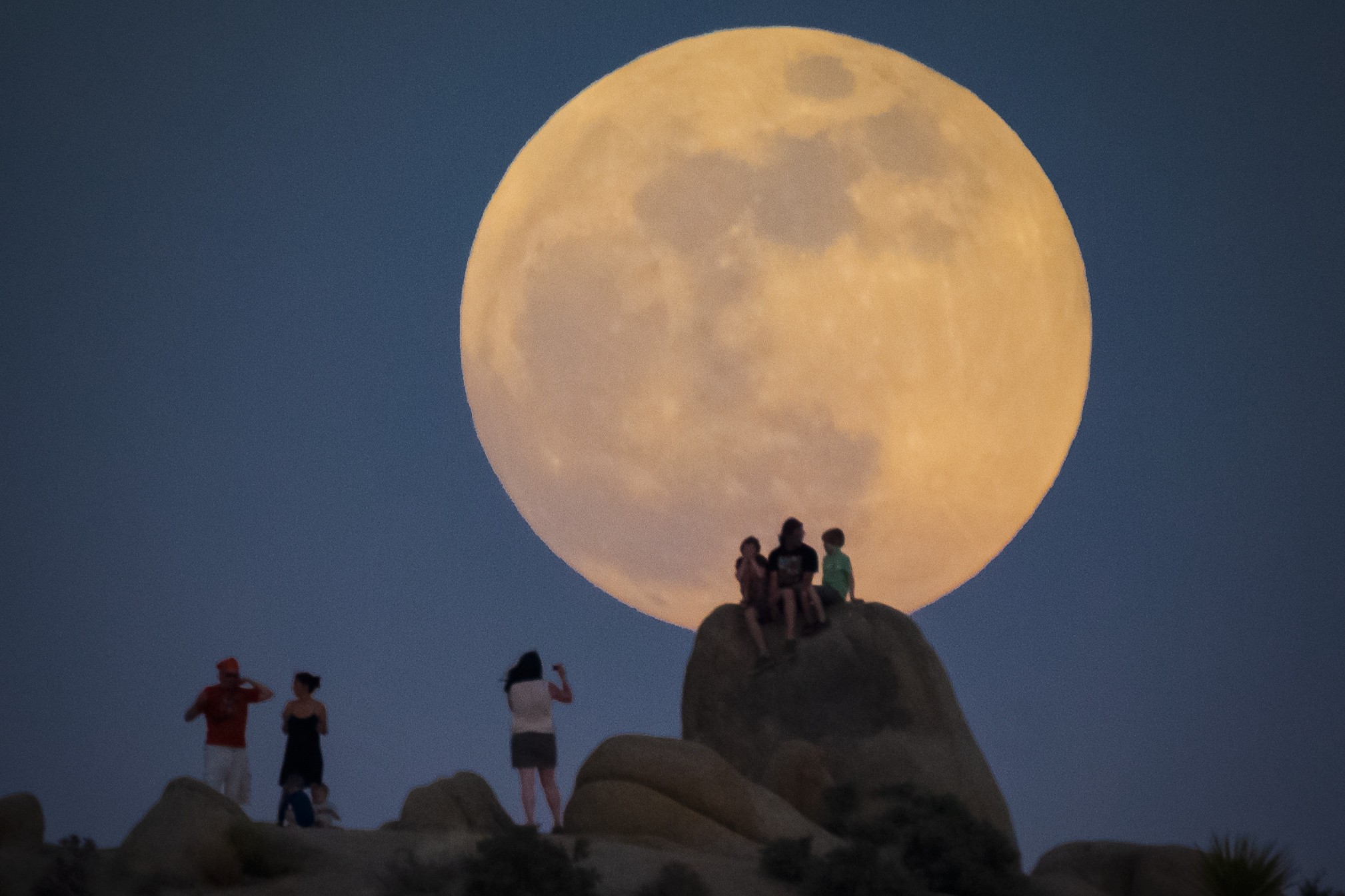 Ecology After Dark: A Guided Moonlight Hike