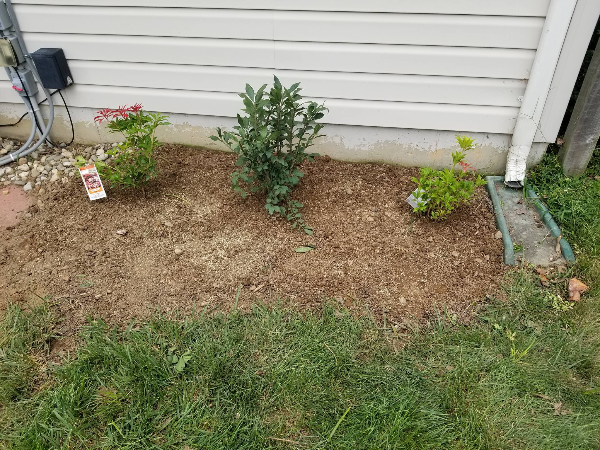 Magic stump grinder and tree service | Newark DE