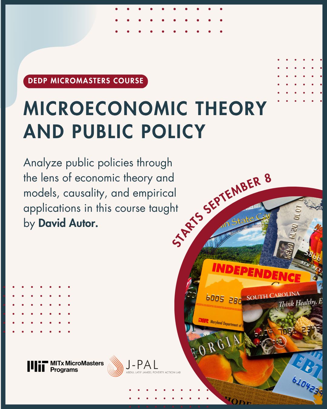 How can microeconomic theory help make sense of real-world policy
