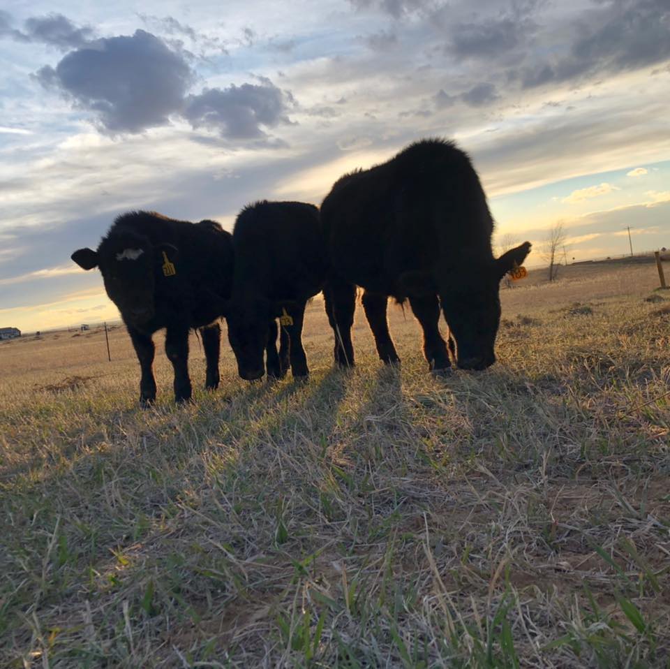 Meade Ranch
