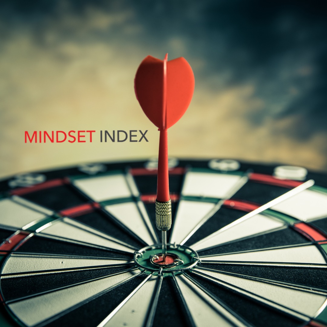 Mindset Index - Want to know what makes your team tick?...