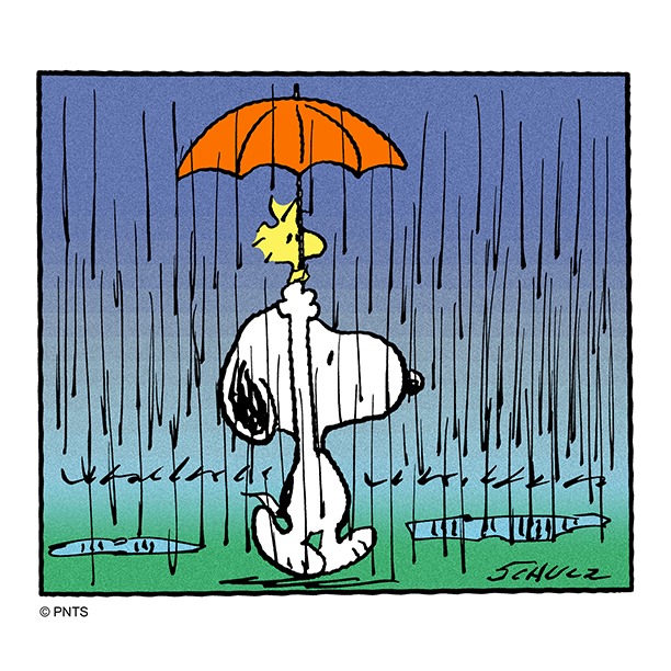 Snoopy - How you turn a bad hair day into a good hair day.