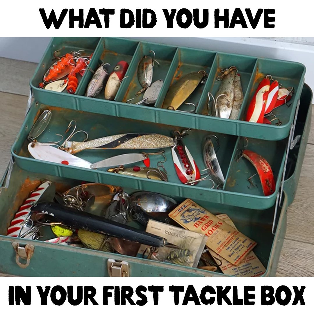 can he grip a tackle box Goture Fishing Organizer - Transparent Fishing Organizer Box w/Measurement Ruler, Adjustable Dividers, Dual Latches hand grip Tackle Boxes