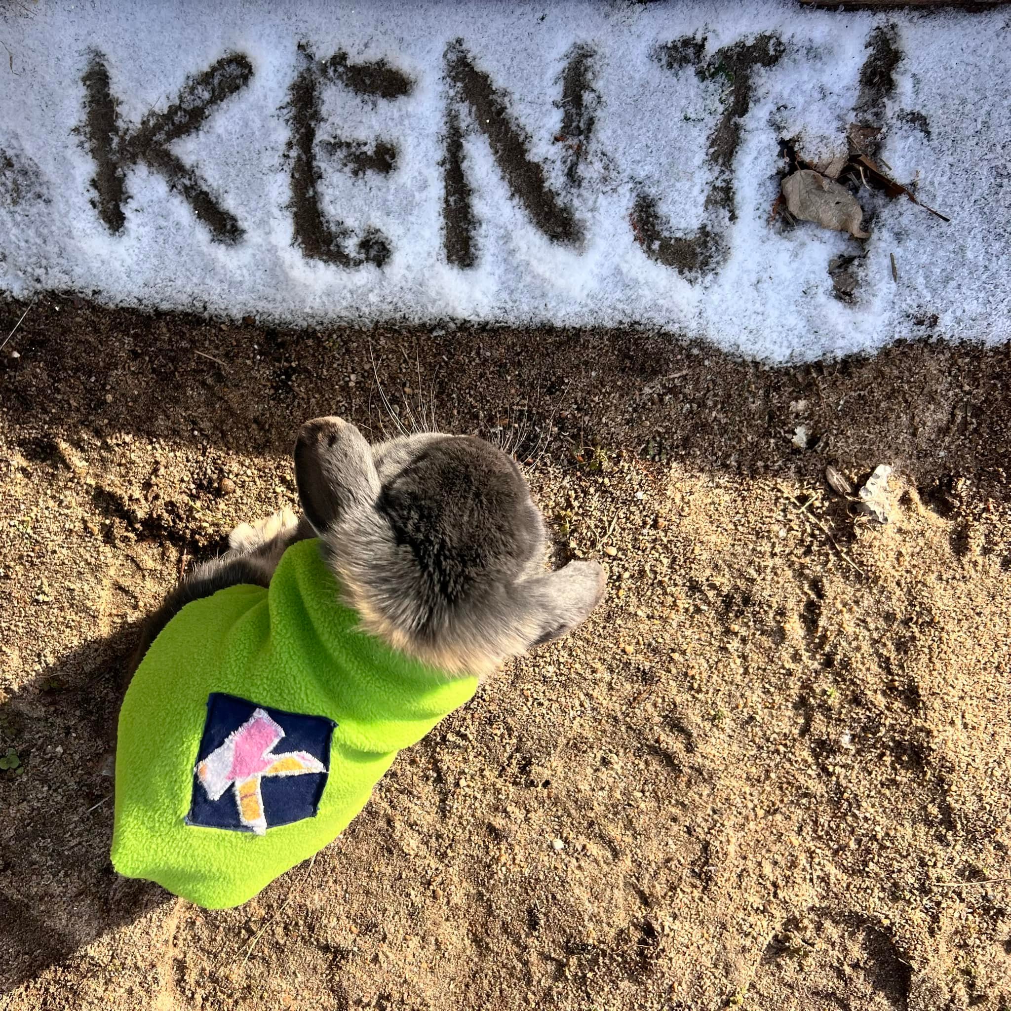 Kenji น้องเคน - Kenji น้องเคน added a new photo.
