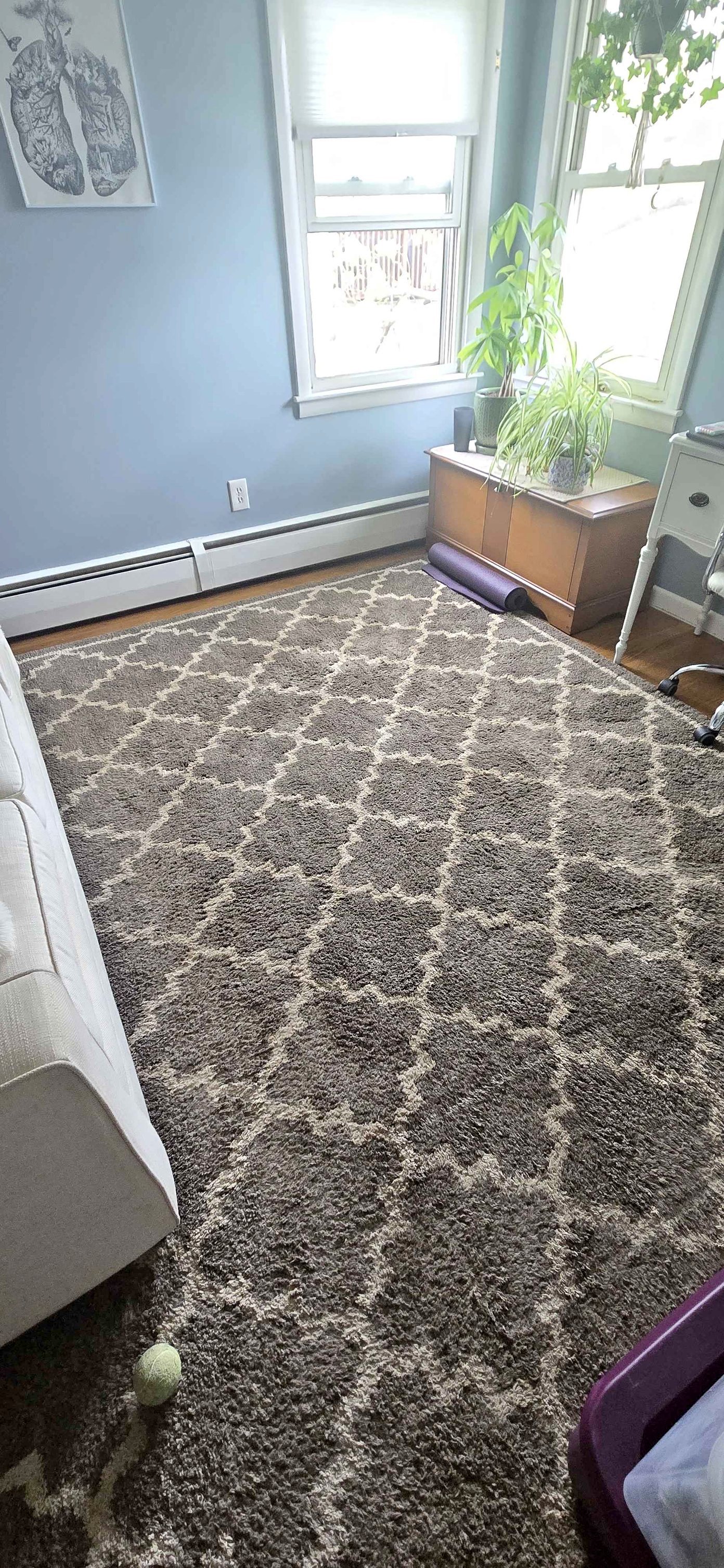 BRAND NEW 6 by 9 area rug - Area Rugs | Facebook Marketplace | Facebook