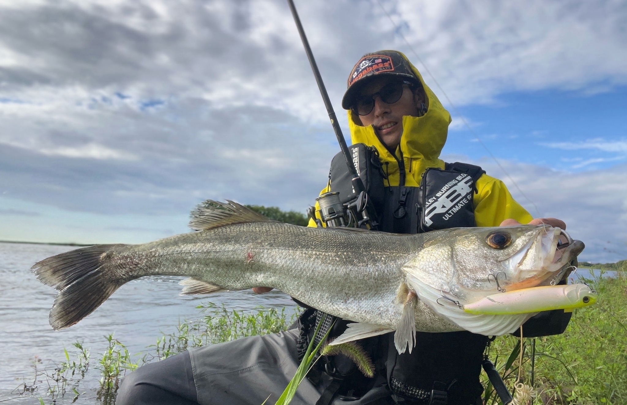 Megabass - 鯉のぼりをモチーフにした「天昇カラー・ルアーセット