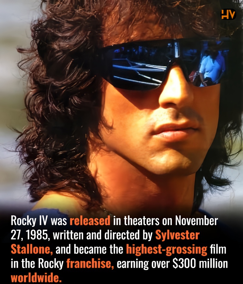 Hollywood - During the 1980s, Sylvester Stallone was not merely an ...