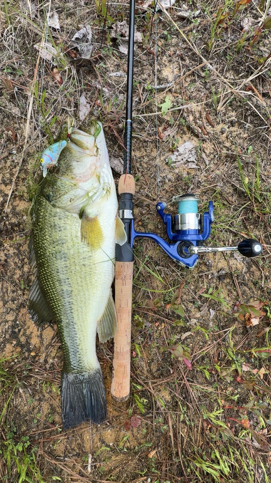 average weight of a fishing pole NickStick Mini Rod Standard Fly Line Weight Charts