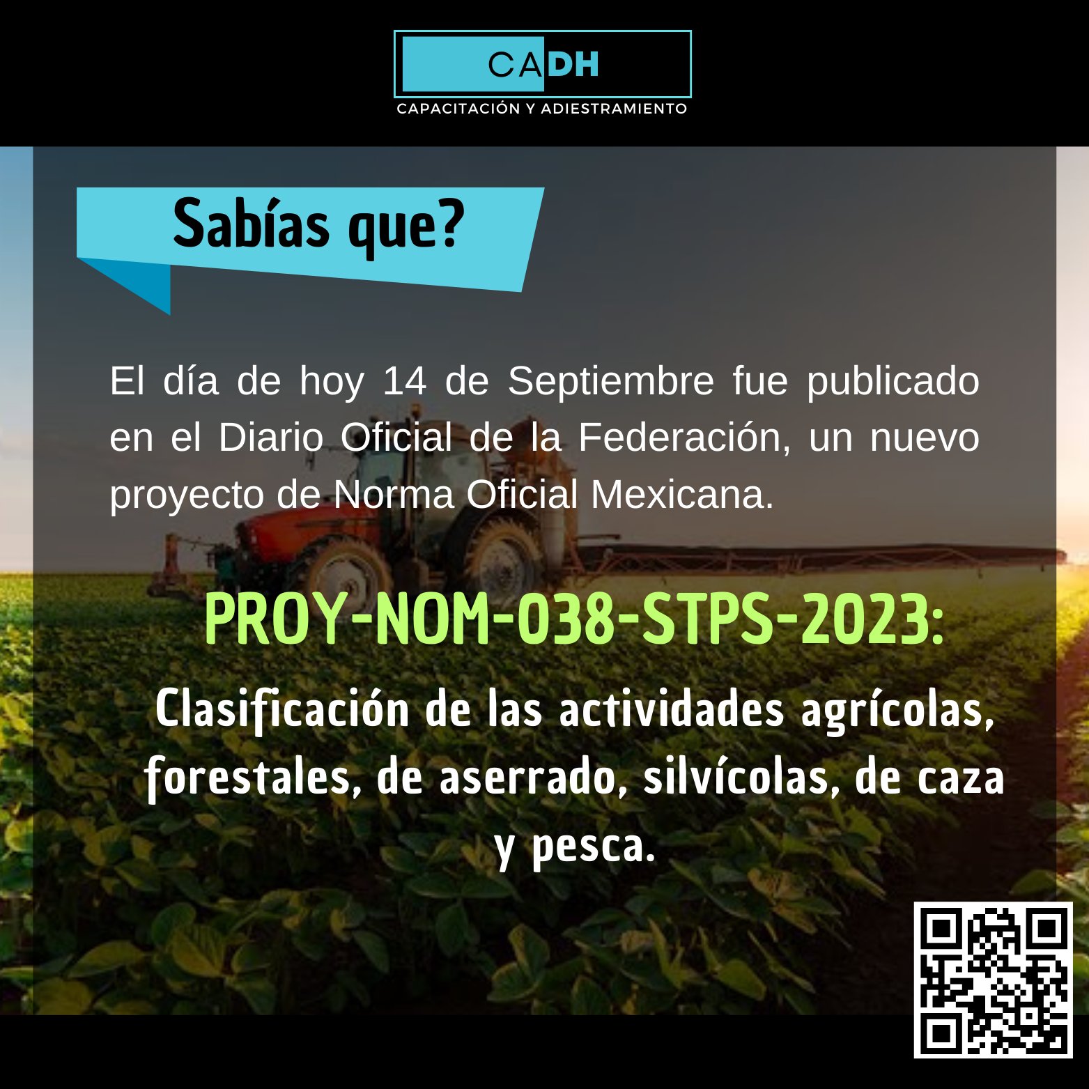 CADH Capacitación, Adiestramiento y Desarrollo Humano | Durango Centro