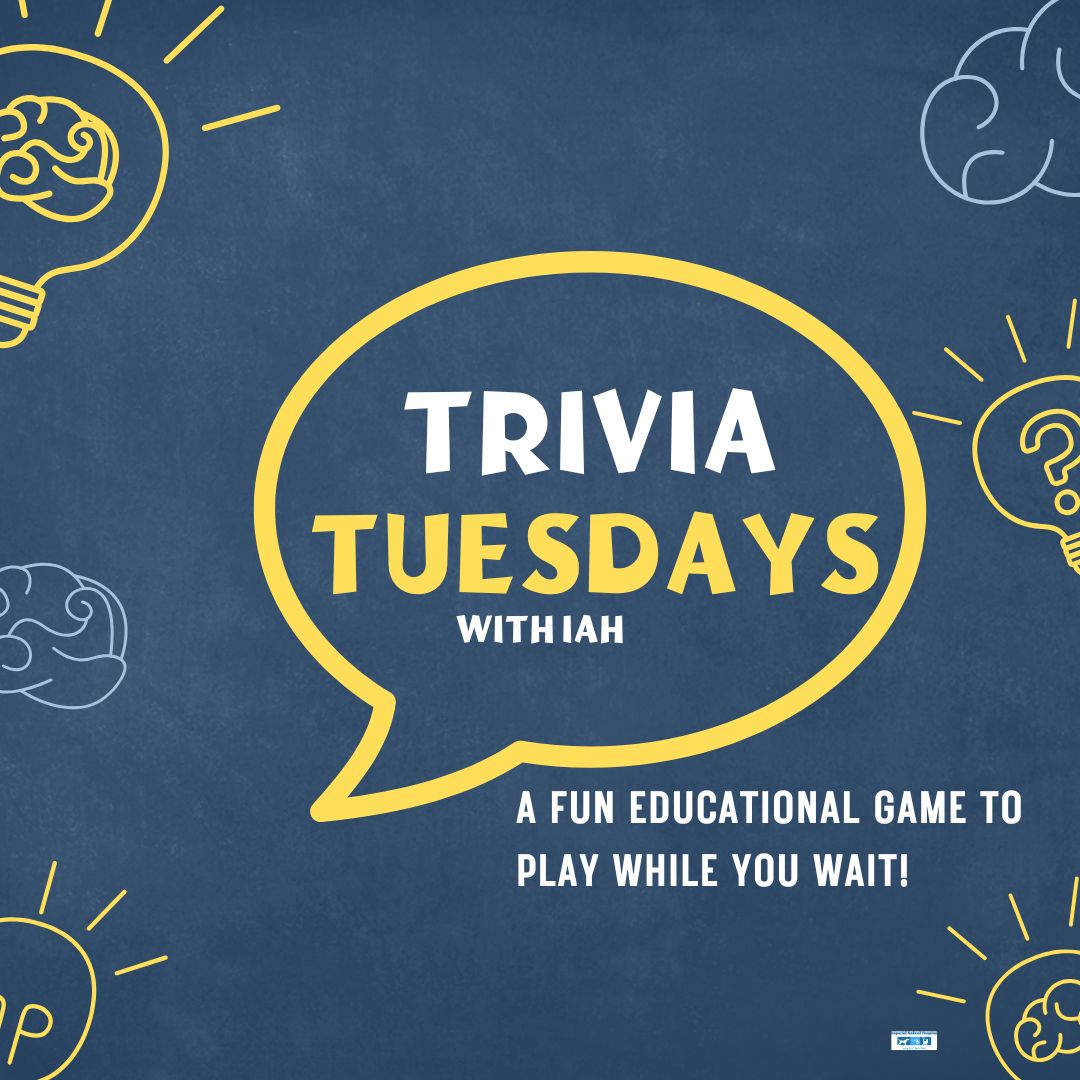 Imperial - 🎉🐾 Trivia Tuesdays are here! 🐾🎉 Every Tuesday, you’ll find ...