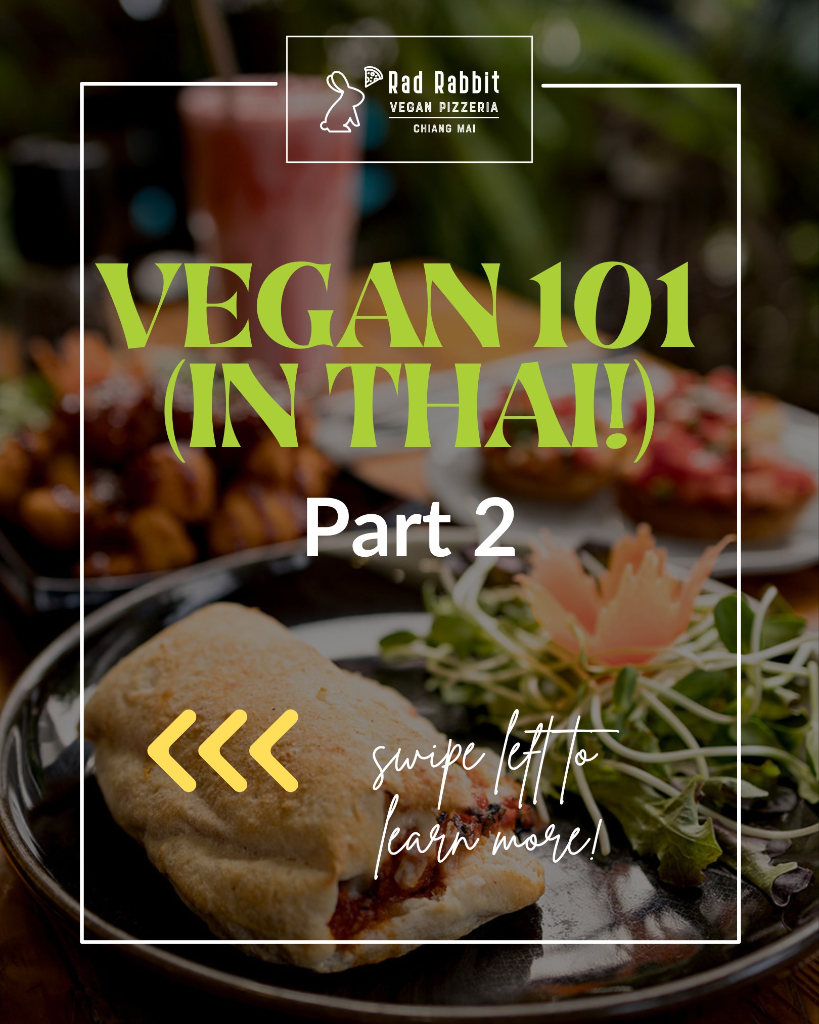 Rad Rabbit Vegan Pizza | Chiang Mai
