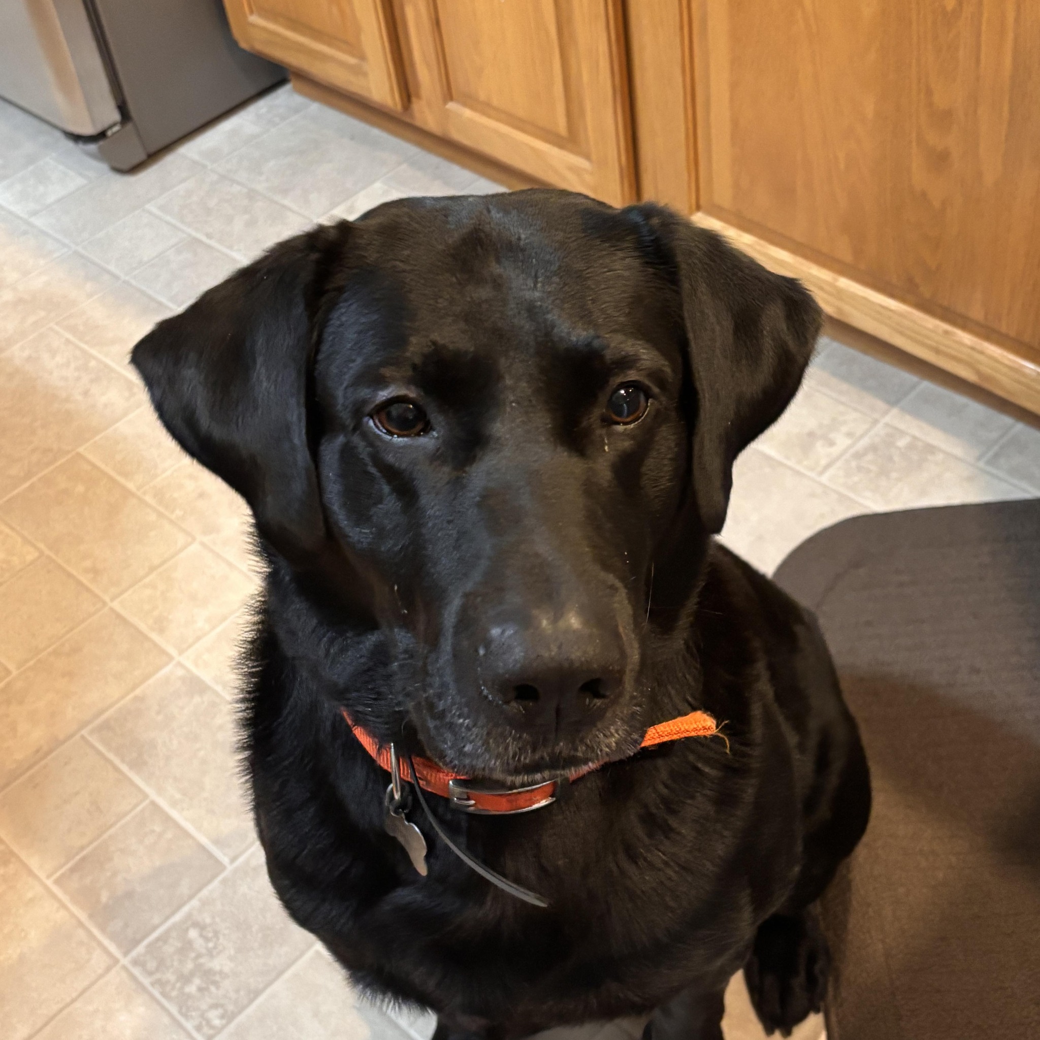 **OFFICIAL** Delmarva Marketplace + Eastern Shore Craigslist (Buy
